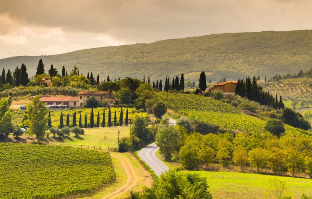 Rolling Tuscan hills with cypress-lined farmhouses, terraced vineyards, and winding country roads.